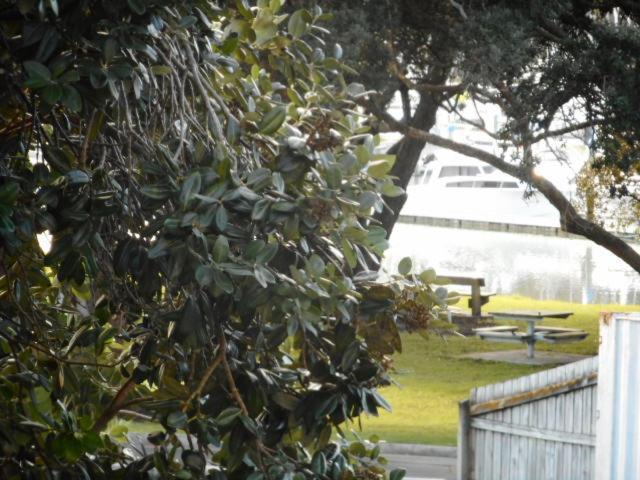 Apartment By The Marina Whitianga Esterno foto